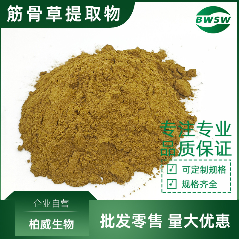 筋骨草提取物 土克甾酮 筋骨草粉提取物 柏威生物 现货批发原料