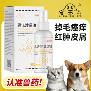 10��5����Ƥ�w�������Zɳ�� ��؈�_����Ƥ���־����W��ë�t��Ȯ��