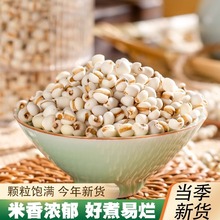 �r��޲������ܛŴ����s�ZС���l���ش��䰾���Ҝ���Ʒ޲�ʴּZ