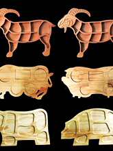 ��ľ�����i��ţ��ľ�P�ָ�ľ�ͱPţ������ľ����ľ�P�ָ�ľ�бP