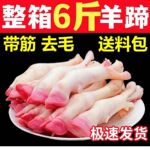 现杀羊蹄白蹄山羊蹄绵羊蹄羔羊蹄带筋散养羊肉羊脚去毛羊腿批发