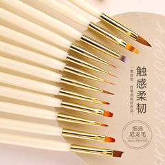 New multi-pronged rod nail art tool brush set of 12, ivory white sweeping brush, light therapy brush, blending line brush