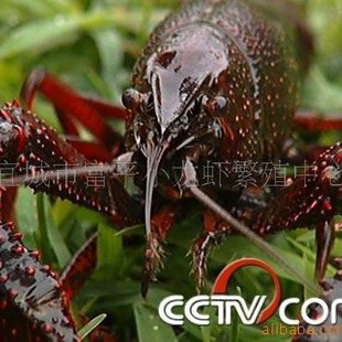 С���r ��ˮ�r��С���r�� ��ˮ�Bֳ���w�~�����l ����ă�