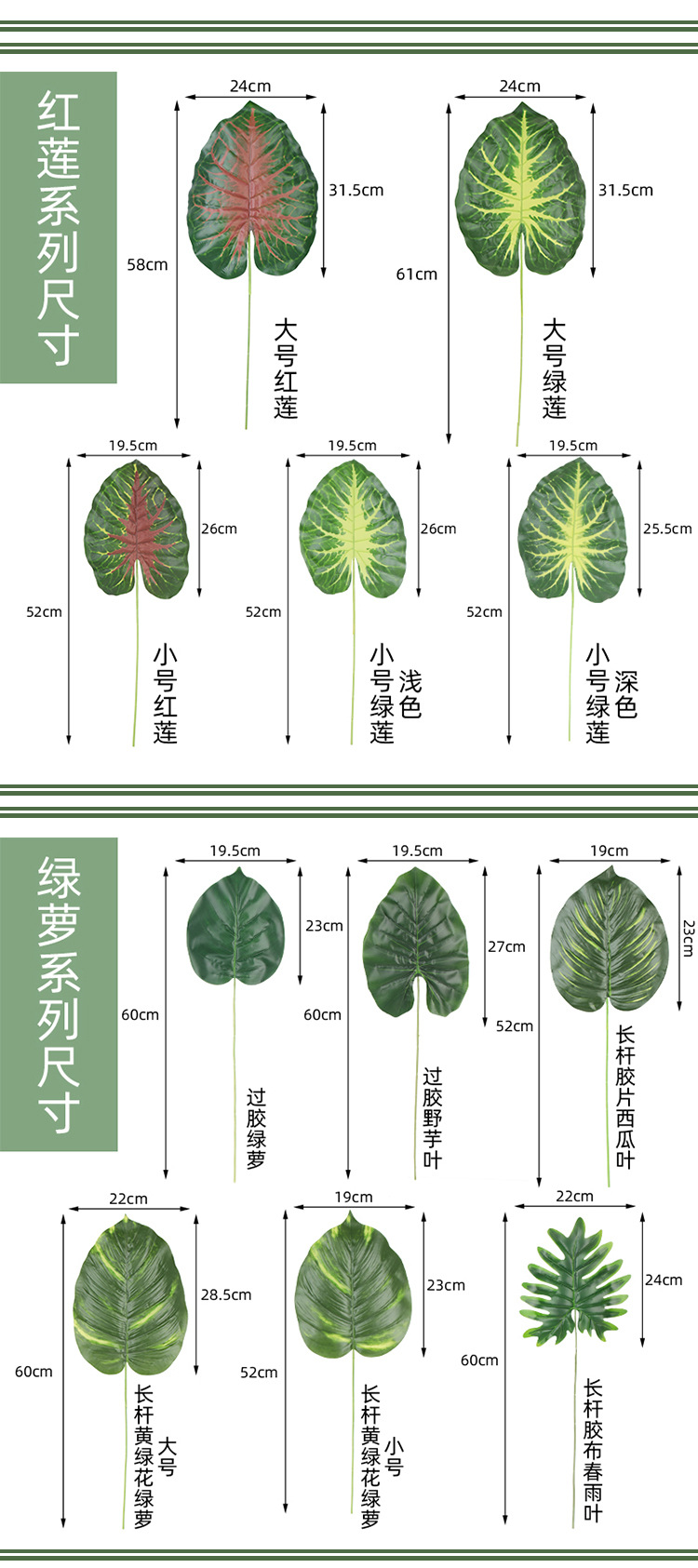 胶布绿萝