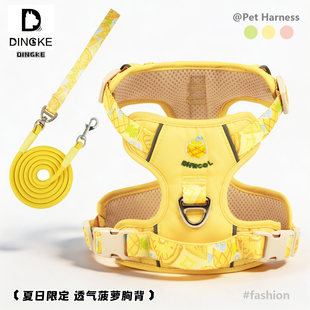 ���������K�ļ�����ʽ���ﱳ��͸�⹷�K����С��Ȯ�»���������