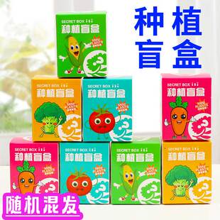 Elementary School Student Reward Small Gift DIY Planting Blind Box Small Potted Plant Grass Doll Kindergarten Small Gift Mini Green Plant