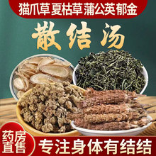夏枯草蒲公英散郁金结茶猫爪草茶结肺夏枯球节茶四物汤