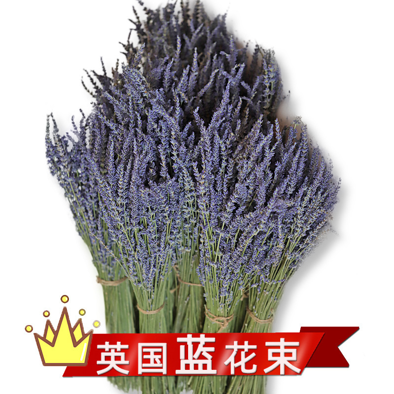 Xinjiang Lavender Dried Bouquet Wholesale British Blue Bouquet Immortal Flower Decorative Flower 25 Years New Arrival