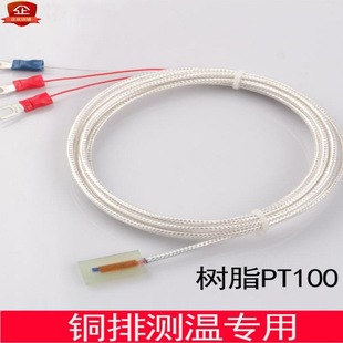 Resin PT100 thermal resistance temperature sensor copper bar temperature measurement special insulation probe 2000V