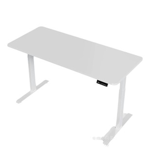 Electric Adjustable Table Standing Desk Study Table Dual Motor Adjustable Table Frame Computer Adjustable Table Leg Single Motor