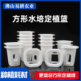 �o�������߲˶�ֲ�@ˮ���߲˷��ζ�ֲ�@ˮ�����ο����ϻ@�����