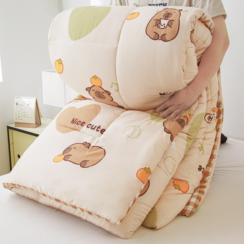 Yaxueyuanfang Thick Winter Quilt with Cute Cartoon Design for Children, Class a Spring and Autumn Quilt Core, Summer Cool Quilt, Dormitory Quilt