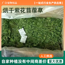 厂家直供烘干紫花苜蓿草 紫花烘干苜蓿草1kg/箱 兔子龙猫荷兰猪