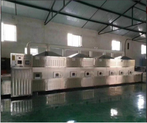 多功能大虾小黄鱼烘焙加热机 流水线海产品调味品杀菌干燥设备