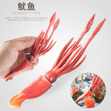 �羳���挍�ĺ�������������~��צ�~���~����\ģ�̓�ͯ�J֪�[��
