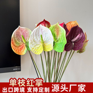 ��֦�t�Ʒ��滨��c��Y�������ò廨�[������t���~�Gֲ�ٻ���ˇ