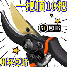 ¿ˇSK5֦@ˇ֦üˇӹ仨ľ