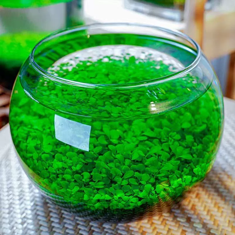 Aquatic plants, creative aquarium, bottle