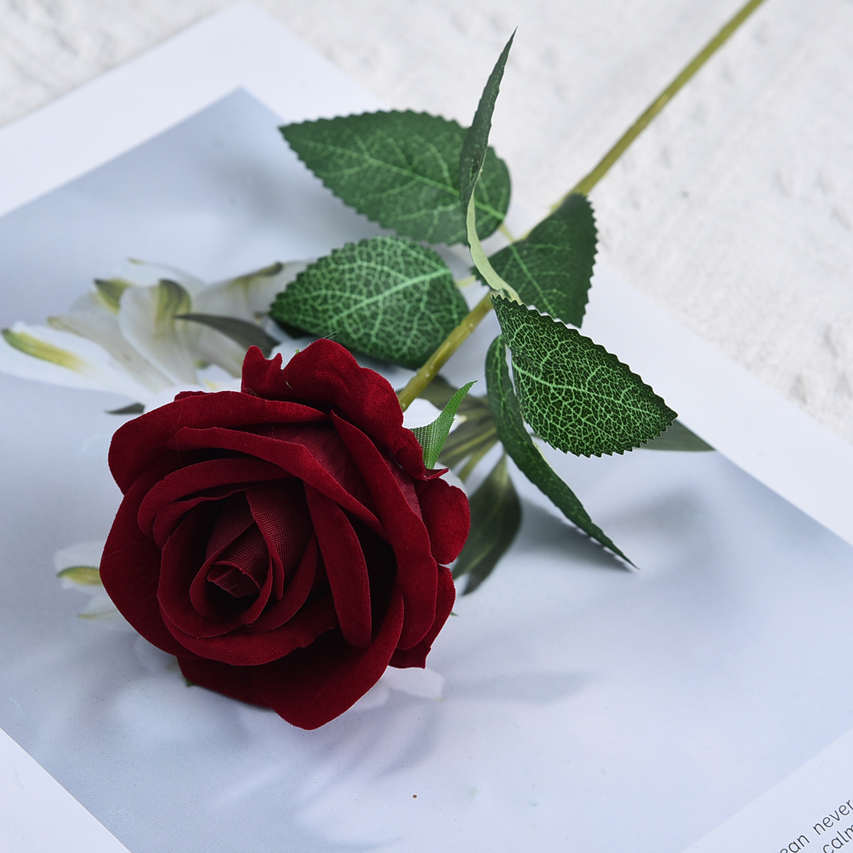 펄 벨벳 로즈 버건디 (직경 7cm)