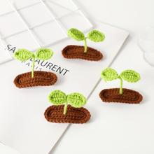 �ֹ�Diy�����ɐ��������wС����ѿ�l�A ���¶�ѿBB�A�l�����l