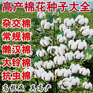 �޻��N�ӷN�Ѵ���Nֲ�a���ѷN���r���ļ������ѷN