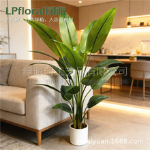 �羳���Q؛Դ����Gֲ���˽����������B�҃ȿ͏d�Ҿ���ؔ[��