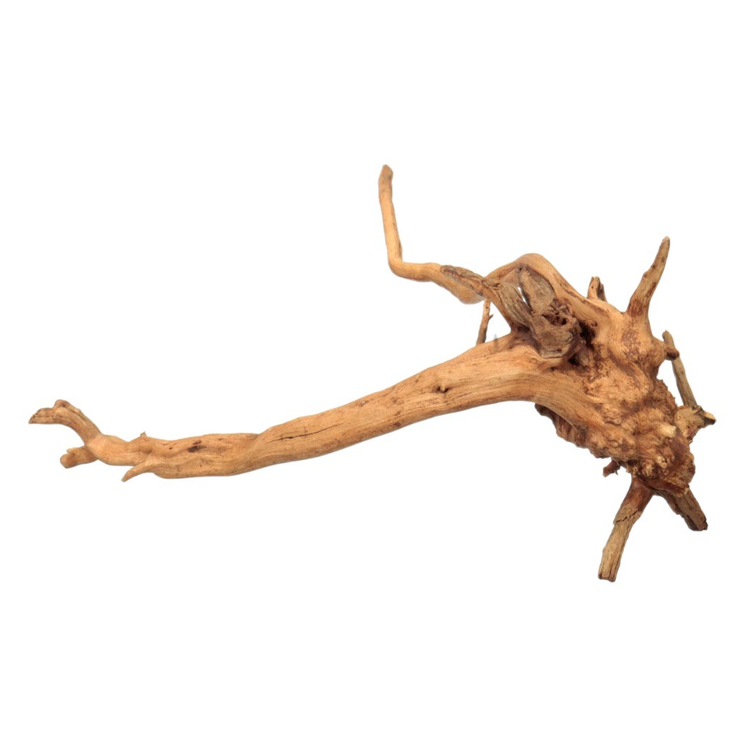 Набор для ландшафтного оформления аквариума с корягой, корнями рододендрона, моховыми деревьями, водными растениями, маленькими укрытиями для корней и подводными украшениями.