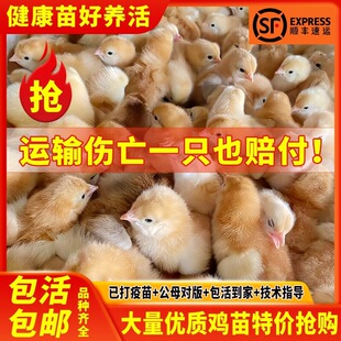 С�u�������S�u���_���u����w�G�����J������u���u�Ž�t�u����
