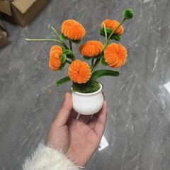 完成品柿如意みかん盆栽大吉イタリアから友達にプレゼントします。