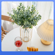 ?INSLȼX~ݏSҼҾbcֲٻMW560