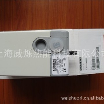 SQN70.244A20伺服电机