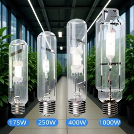 金卤灯;LED集鱼灯;钠灯