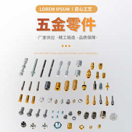 温州专业不锈钢铝件非标精密轴类，插削件接线端子螺母柱接线柱