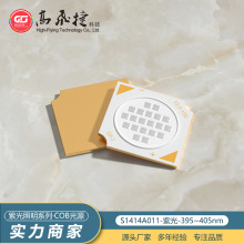 ���w�ݹ���40W�Ϲ�COB��Դ390-400nmLED��������O��UV��