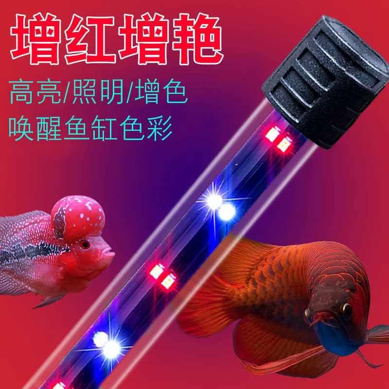 LED-аквариум, подводные светильники