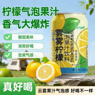 Ц���r��F���ʚ��ݹ�֭���320ml��ˬ�����֭�ļ���ʹ�ζ�Ʒ