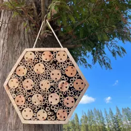 其他小宠用品;仓鼠生活用品;鸟类