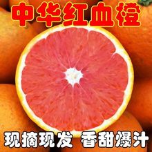 Ѫ�����A�t�ĳ��Ӵ�����l�������r�����������ք���r��ˮ��