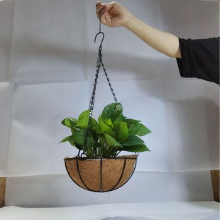 �羳�A��朗l���@�FˇҬ�ػ�����@Ҭ�»��@Ҭ�ػ��@�廨���@�Fˇ