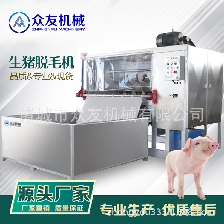 专业整猪打毛设备 全自动不锈钢猪头脱毛机 价格优惠1