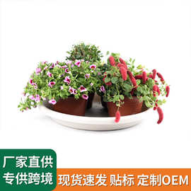 TELSLY圆形塑料花盆托盘 加厚耐用树脂盆托底碟 陶盆瓷盆接水盘