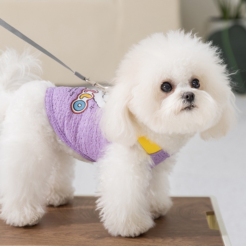 Primavera y verano tracción caricatura adorable gatito correa de impresión de tracción chaleco de tracción perros pequeños y medianos ropa de mascotas