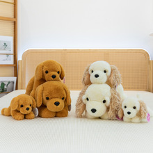 �羳ſſ���ɐ�����Ȯë�q��żſ�˽�ë��������������޴���С��