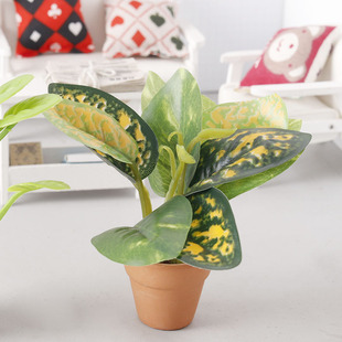 ΢�sģ��ֲ�������մɻ�ƿ8�֔[��ob11������dollhouse�^�Ҽ�diy