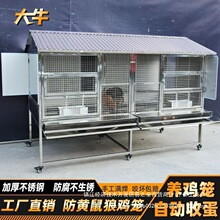 ��ţ���P��u�\����������ͷ����u������B�u���û\�Ԅ���S�յ�