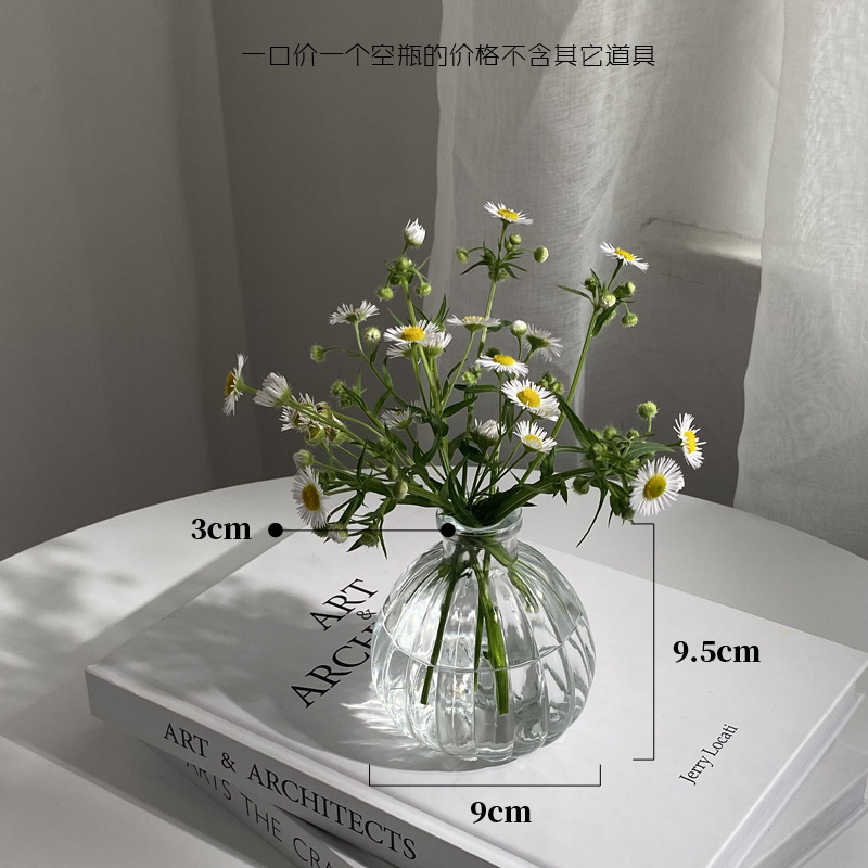 호박 스몰 사이즈