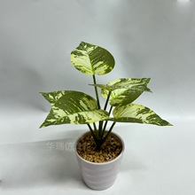 ��Ʒ6�^����Gֲܛ�b�ٻ����滨�����쾰���W�L�Ҿ��b[�O����