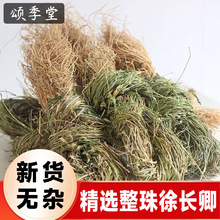 șľx؛؛鎧Lbb張ȫвș