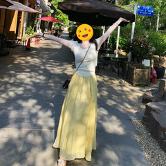 2025年夏超人気コーデセット韓国ニッチストラップ半袖トップスハイウエストAラインスカート2点セット