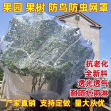 果树防虫网罩批发樱桃嘉宝果莲雾蓝梅桃树果园防鸟网大棚防虫网